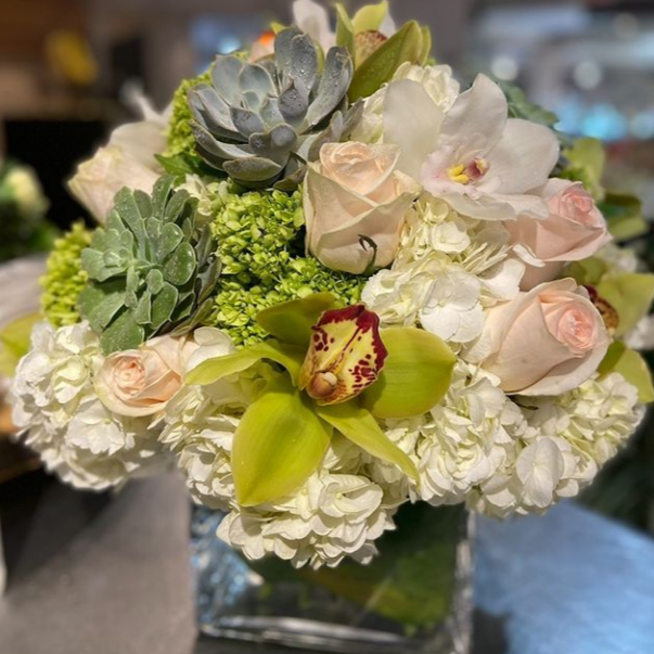 serenity succulents Succulent Serene - Fresh Succulent Delivery